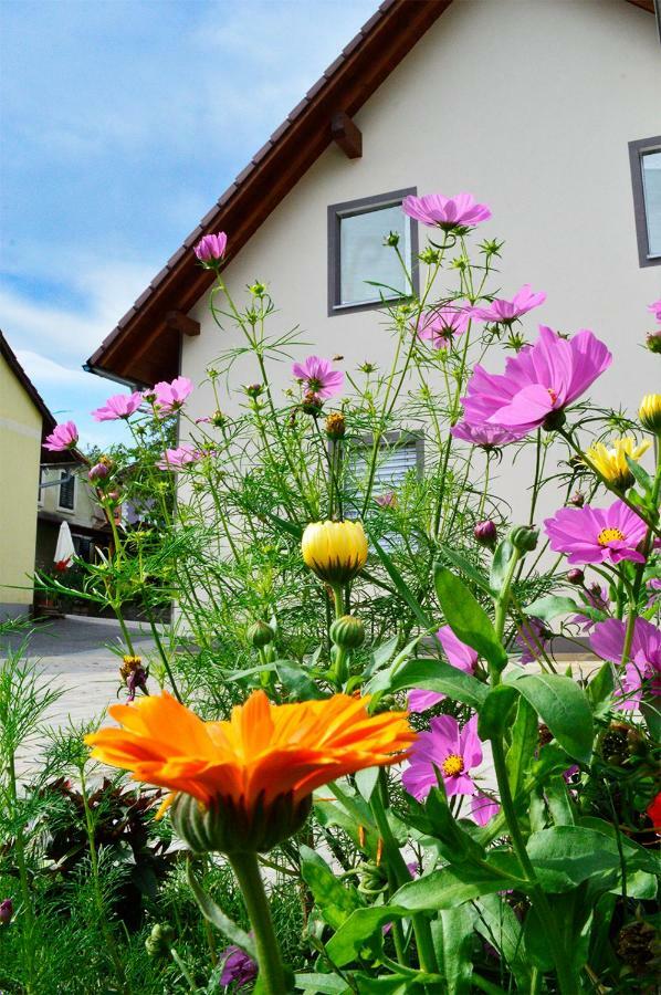 Haus Rosy Ferienwohnung Штубенберґ-ам-Зе Екстер'єр фото